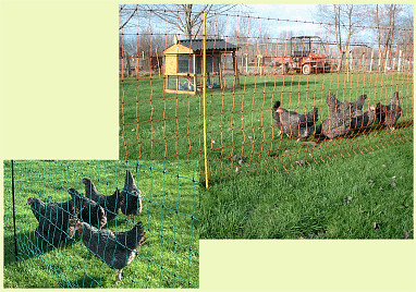 44" Fine Mesh electric netting fence for poultry, ducks, chickens, gardens, wildlife, and predator control (dogs, coyotes, foxes, etc.)